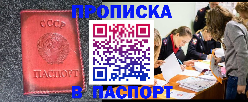 прописка для школы в Бавлах